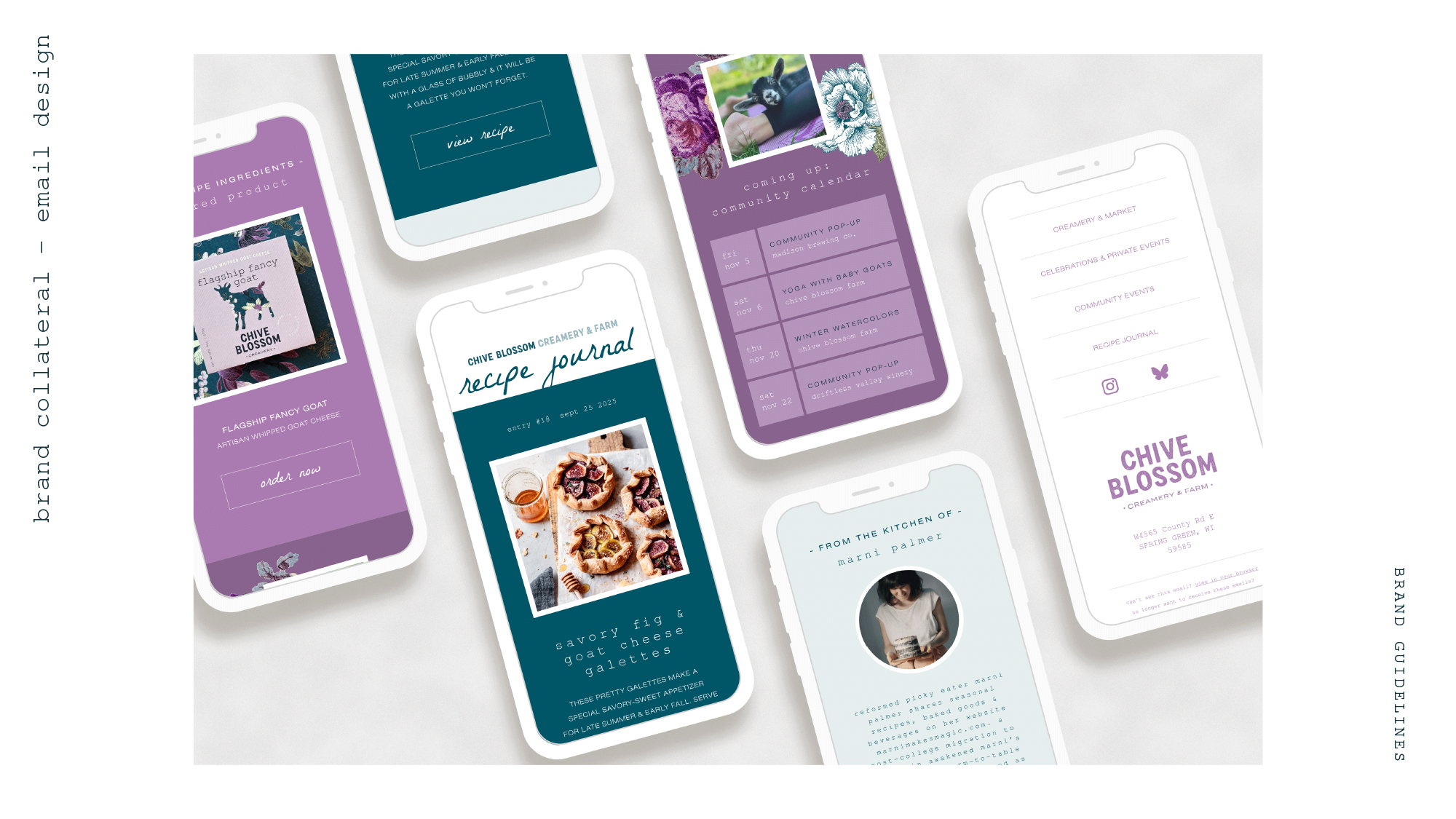 email newsletter design mockup