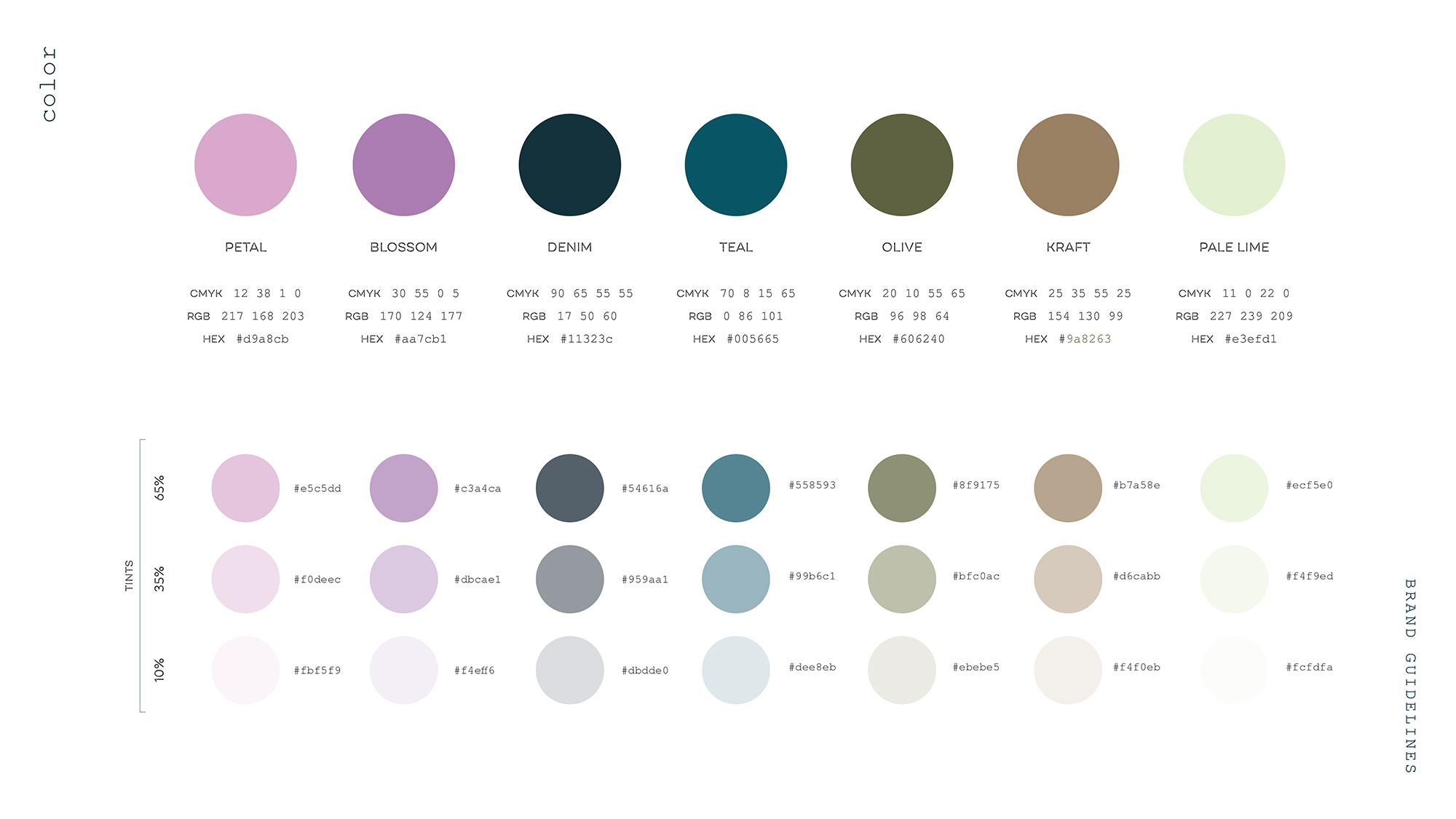 color palette