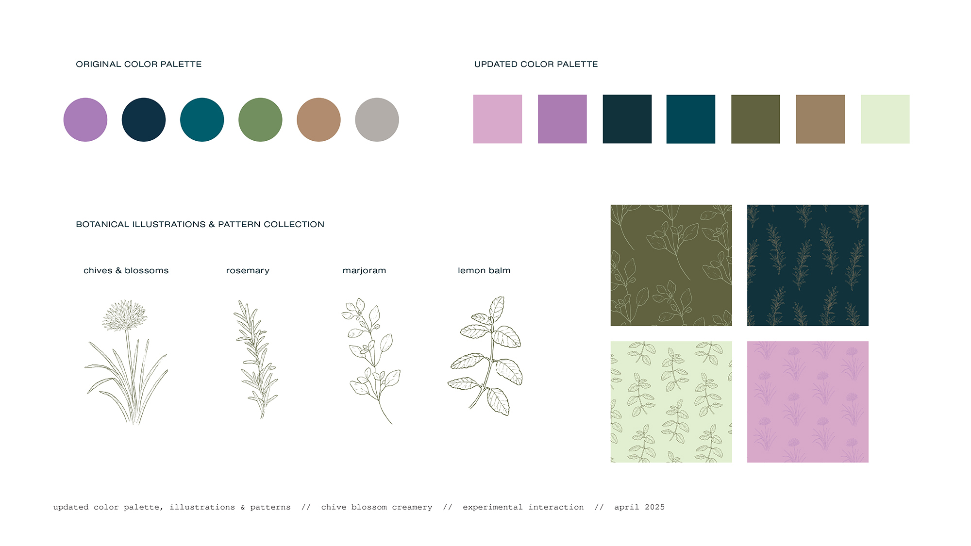 updated branding visuals